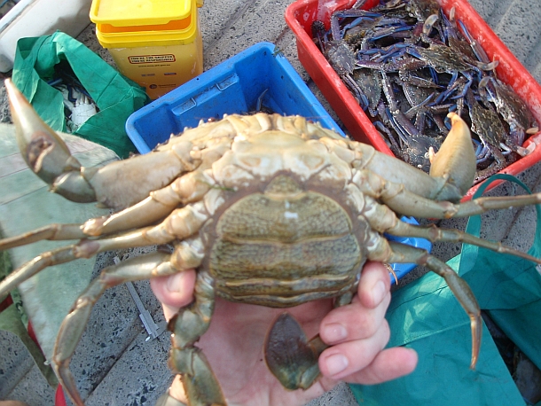 Cleveland crabbers convicted